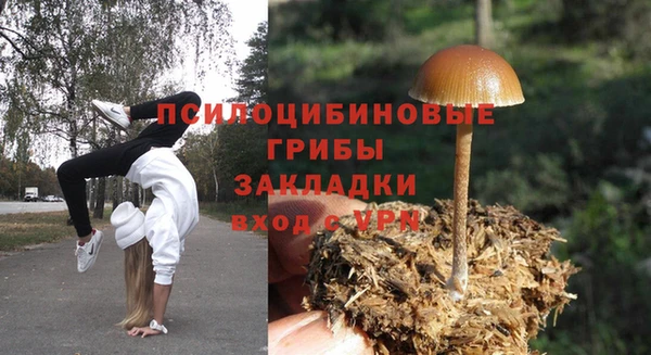 PSILOCYBIN Абаза