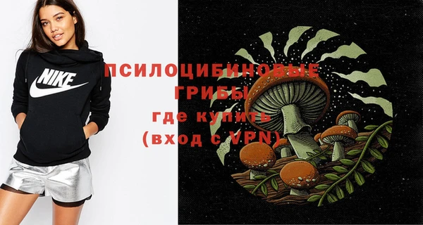 PSILOCYBIN Абаза