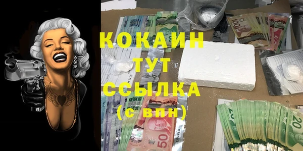 PSILOCYBIN Абаза