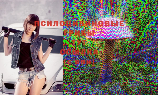 PSILOCYBIN Абаза
