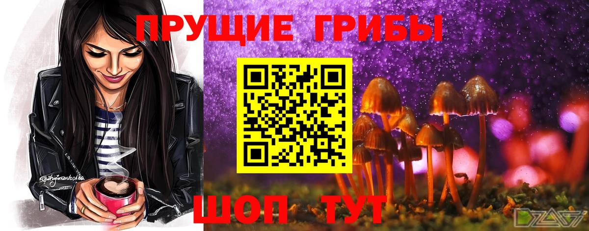Галлюциногенные грибы GOLDEN TEACHER Энгельс