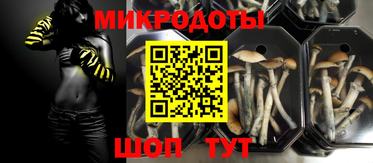 Энгельс  Галлюциногенные грибы Psilocybine cubensis  Вход с VPN 
